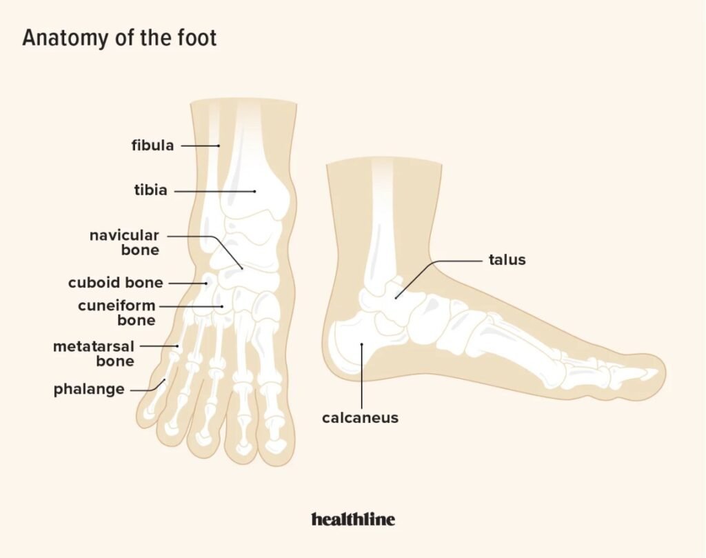 Chronic Pain foot solution