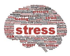 What Are the Best Stress Relief Resources in 2024?