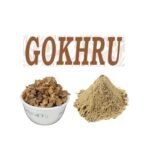 Benefits of Gokhru Powder: How to Use It? 5 Simple Gokhru Recipes.