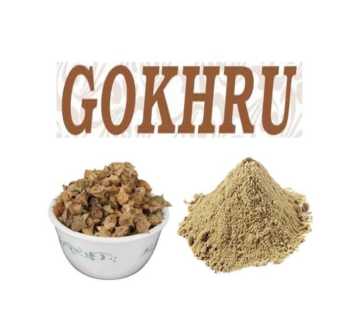 Benefits of Gokhru Powder: How to Use It? 5 Simple Gokhru Recipes.