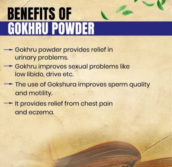 Gokhru Powder