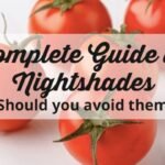 Complete Information on Non-Nightshade Vegetables: What to Consider in Your Diet?