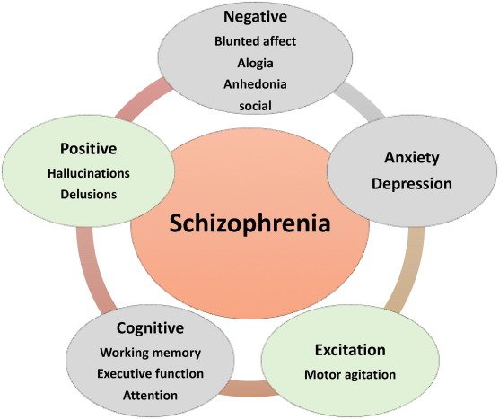 FDA Approves Schizophrenia Drug