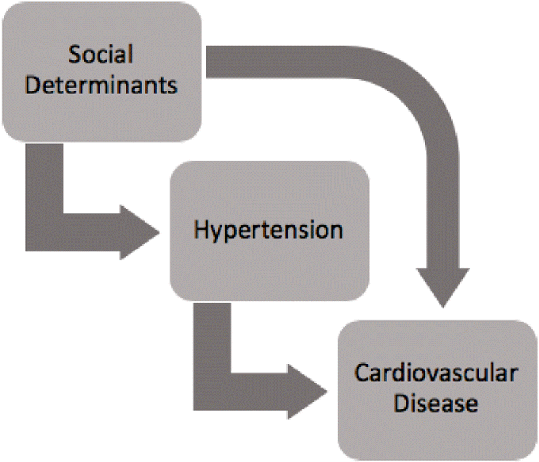 Why Is Hypertension More Common in Black