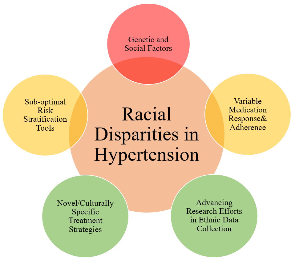 Why Is Hypertension More Common in Black
